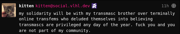 kitten's post: my solidarity will be with my transmasc brother over terminally online transfems who deluded themselves into believing transmascs are privileged any day of the year. fuck you and you are not part of my community.